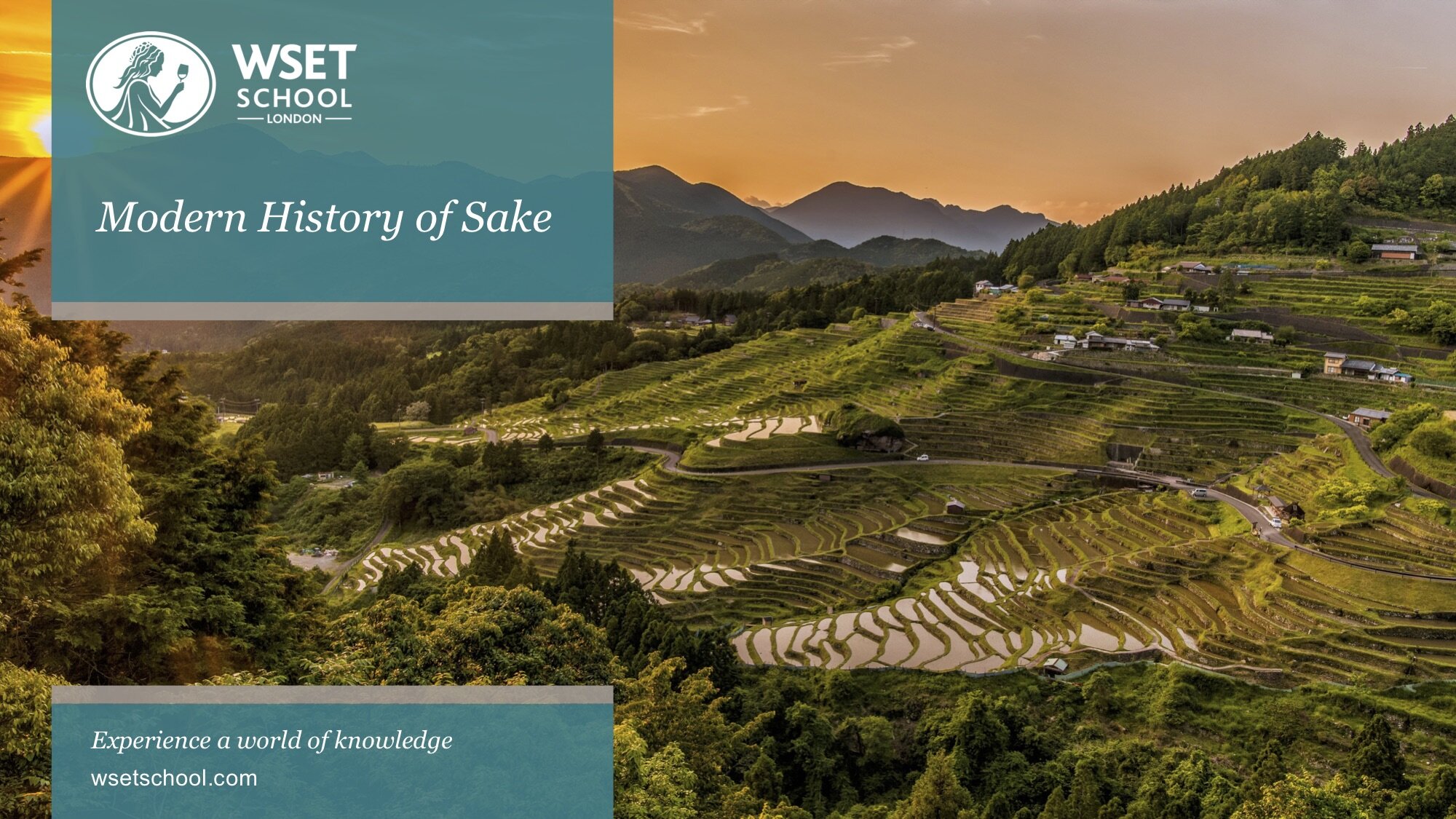 sake history 画像.jpg