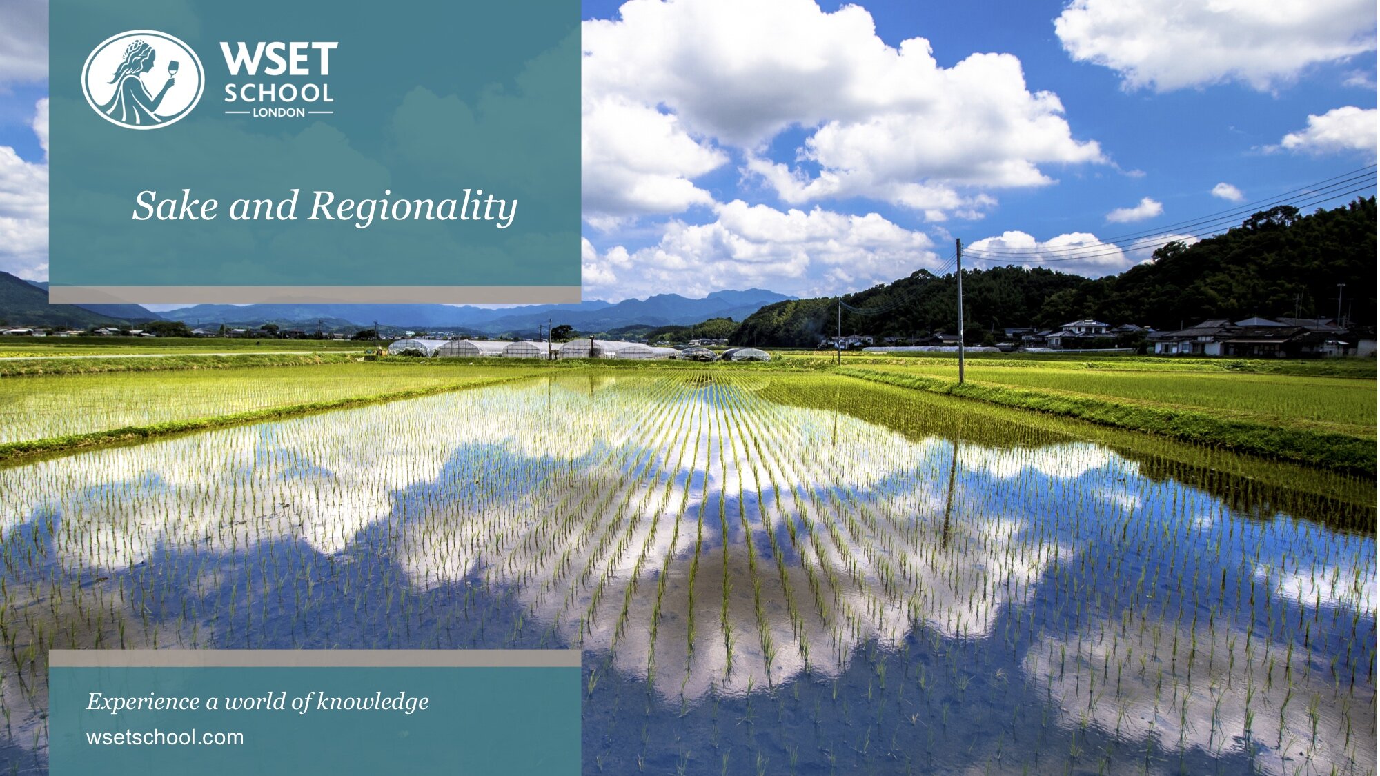 sake & regionality top image.jpg